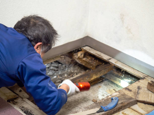 Best Water Damage Restoration  in Olympia, WA