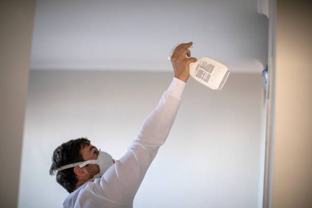 Best Mold Removal Company Near Me  in Olympia, WA