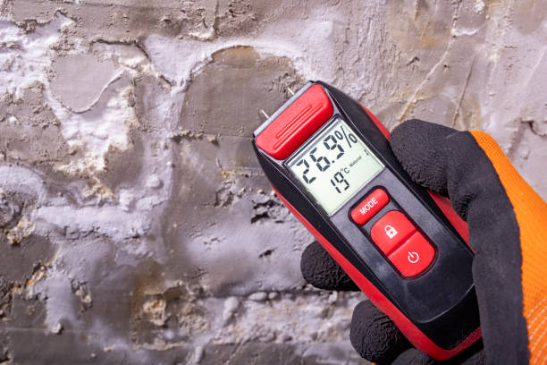 Best Attic Mold Removal  in Olympia, WA