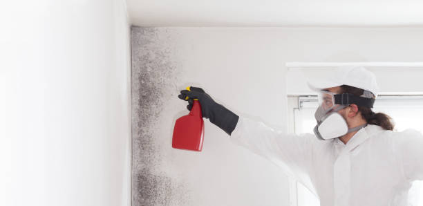 Water Damage Restoration in Olympia, WA