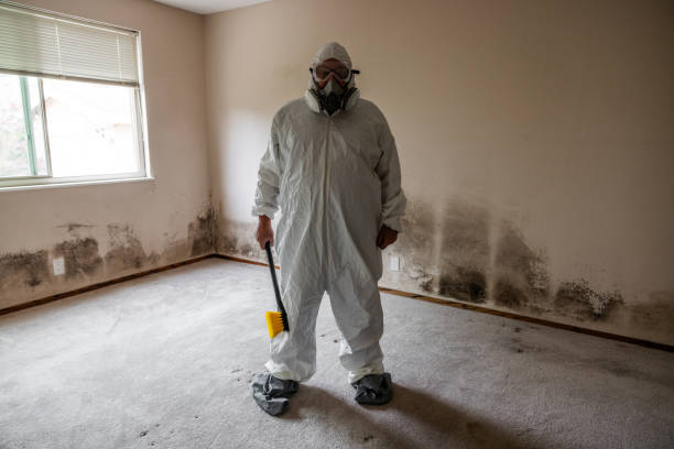 Best Crawl Space Mold Removal  in Olympia, WA